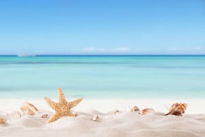 Trabajos de verano una oportunidad de acceso al mercado laboral