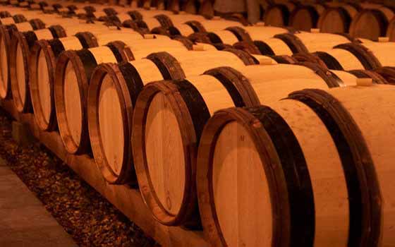 Curso online de Cata de vinos, Maridaje y Sumiller Curso online de Cata de vinos, Maridaje y Sumiller
