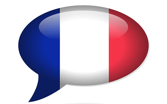 Curso online de Formador de Formadores para Profesores de Francés (Doble Titulación + 4 Créditos ECTS)
