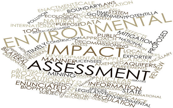 Curso virtual de Evaluación de Impacto Ambiental
