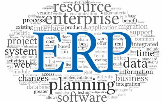Curso virtual de SAP ERP y Planificación de la Producción