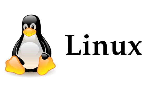 Certificación Oficial en Informática Linux LPI (nivel 2) 