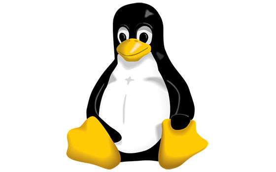 Certificación Oficial en Informática Linux LPI (nivel 3) 