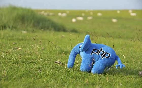 Curso online de PHP y MySQL Nivel Experto
