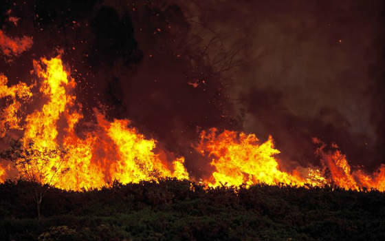 Curso online de Extinción de Incendios Forestales