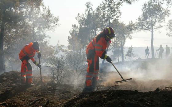 Curso online de Extinción de Incendios Forestales