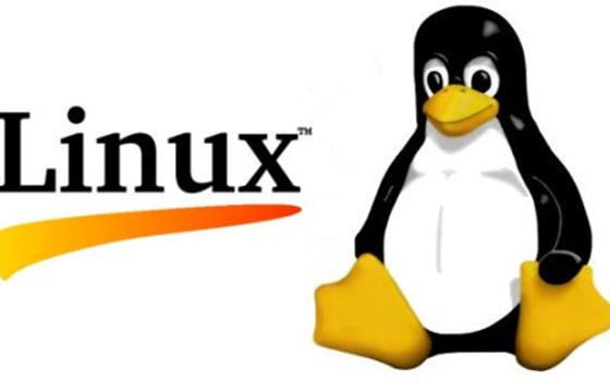 Curso Técnico online de Administración Linux