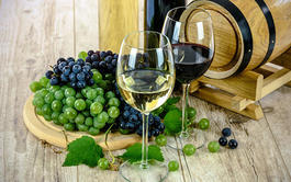 Curso online Profesional de Industrias Derivadas de la Uva y el Vino