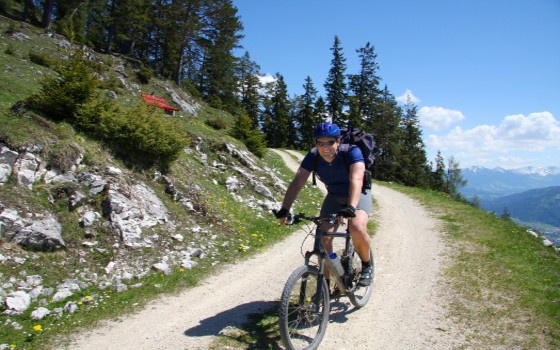 Curso a distancia de Guía en Itinerarios en Bicicleta