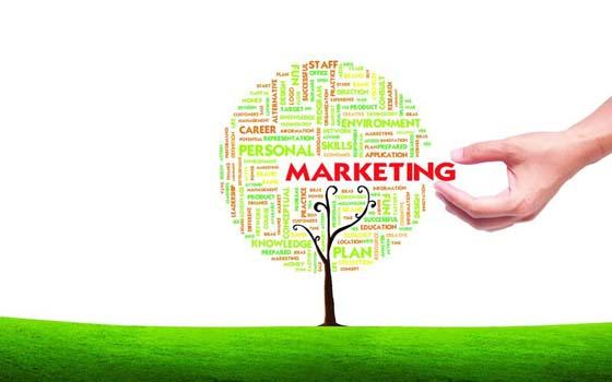 Curso online de Marketing Verde